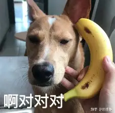 布克我将化身NBA大再成焦点(布克很帅)