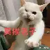 布克我将化身NBA大再成焦点(布克很帅)